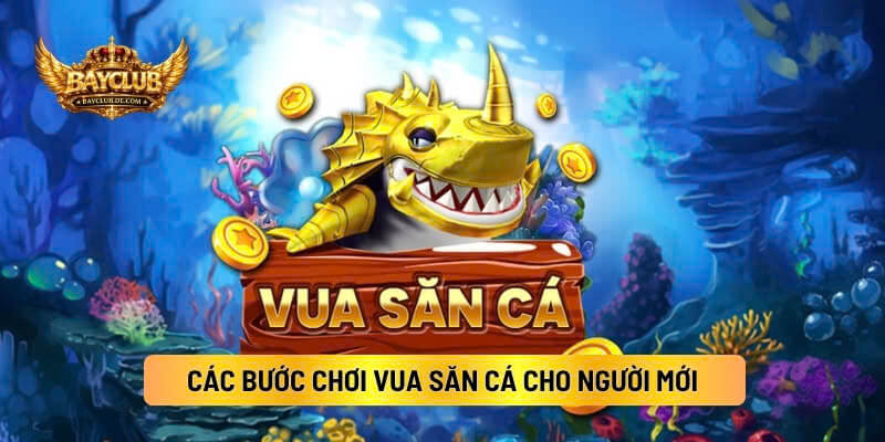 Các Bước Chơi Vua Săn Cá Cho Người Mới