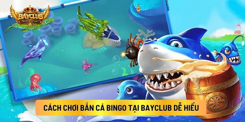 Cách Chơi Bắn Cá Bingo Tại BAYCLUB Dễ Hiểu