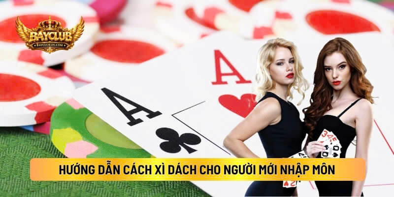 Hướng Dẫn Cách Xì Dách Cho Người Mới Nhập Môn