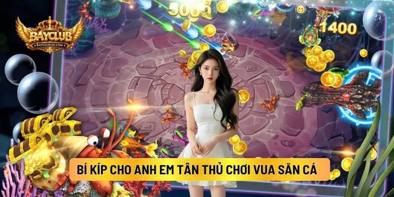 Top Bí Kíp Mà Cao Thủ Để Lại Cho Anh Em Tân Thủ Chơi Vua Săn Cá